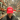 Make America Loud Again Trucker Hat